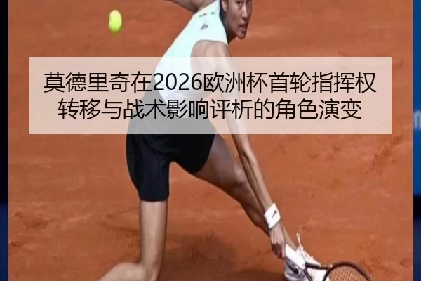 mo-de-li-qi-zai-ou-zhou-bei-shou-lun-zhi-hui-quan-zhuan-yi-yu-zhan-shu-ying-xiang-ping-xi-de-jue-se-yan-bian-1-931.jpg