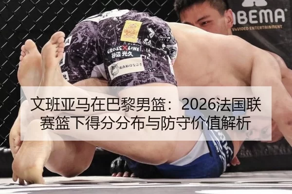 文班亚马在巴黎男篮：2026法国联赛篮下得分分布与防守价值解析